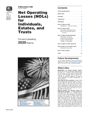 IRS Publication 536 (2020)
