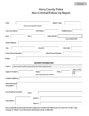 Horry County Police Non-Criminal Report