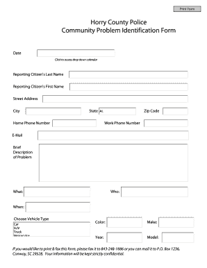 Horry County Community Problem Identification Form