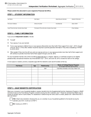 Independent Verification Worksheet