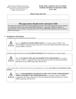 New York BEDS School District Summary Form