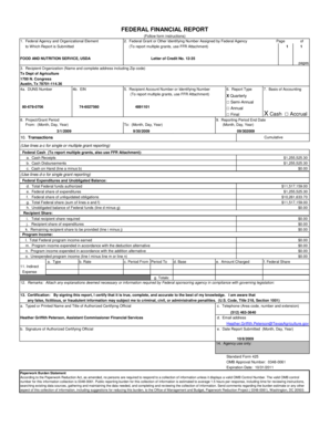Federal Financial Report Form