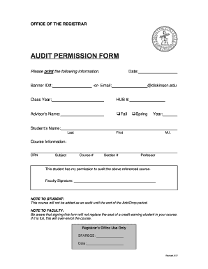 Audit Permission Form