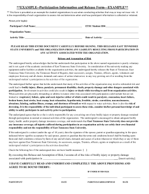 Participation Information and Release Form