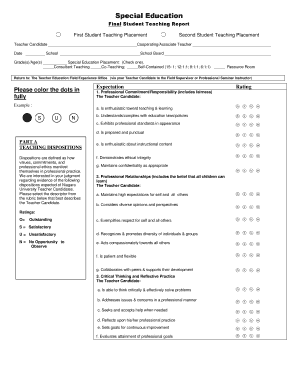 Special Education Final Student Teaching Report