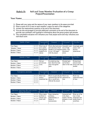 Group Project Evaluation Form