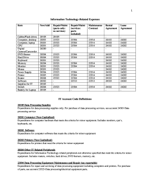 IT Expense Report Form