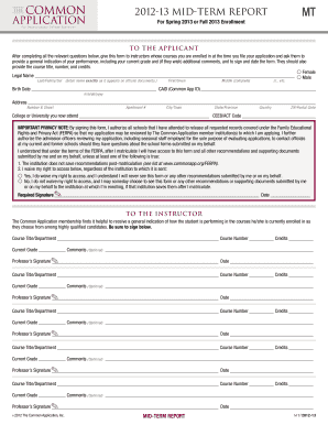 Mid-Term Report Form