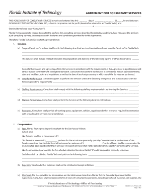 Consultant Services Agreement