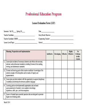 Lesson Evaluation Form