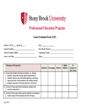 Lesson Evaluation Form