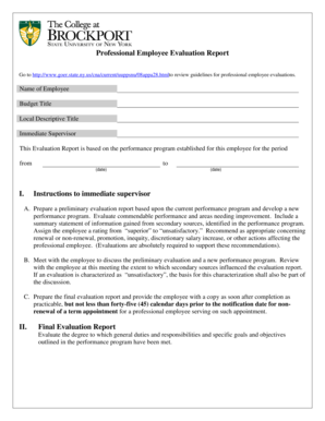 Professional Employee Evaluation Report - brockport