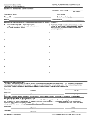Individual Performance Program