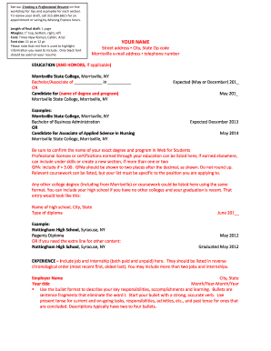 Professional Resume Template