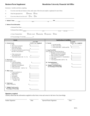 Business/Farm Supplement Form