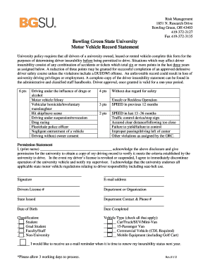 Motor Vehicle Record Statement