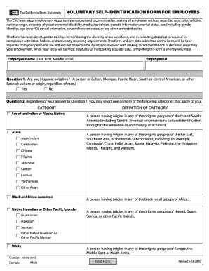 Voluntary Self-Identification Form for Employees