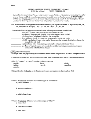 Human Anatomy Review Worksheet