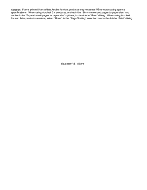 IRS Form 990 2009
