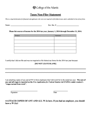 Non-Filer Statement for Financial Aid