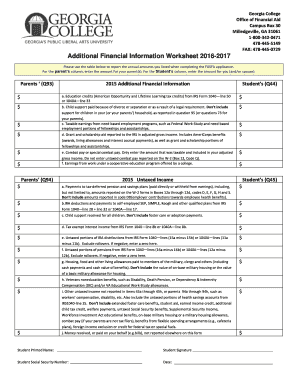 Additional Financial Information Worksheet