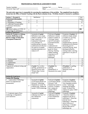 Professional Portfolio Assessment Form