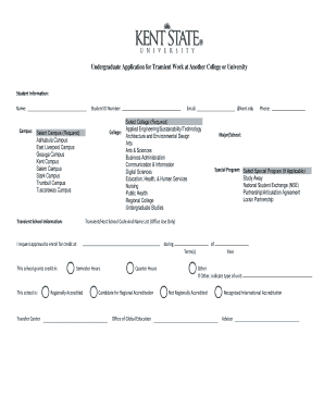 Undergraduate Transient Work Application
