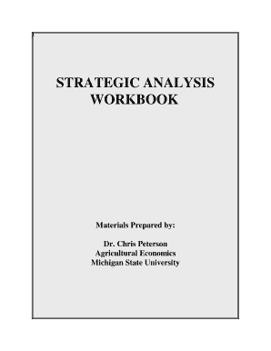 Strategic Analysis Workbook