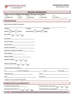 H-1B Visa Application Form