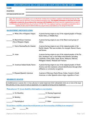 Employee Self-Identification Disclosure Form