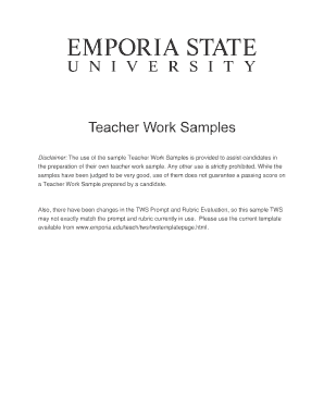 Teacher Work Sample Form