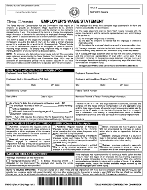 Texas Employer's Wage Statement