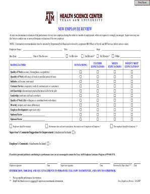 New Employee Performance Review Form