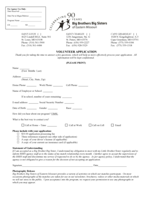 Big Brothers Big Sisters Volunteer Application
