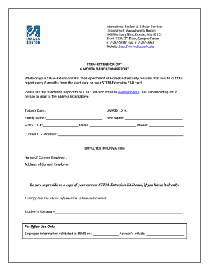 STEM-Extension OPT 6 Month Validation Report