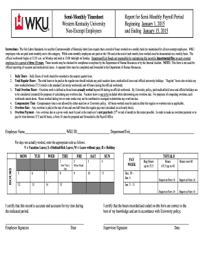 Semi-Monthly Timesheet Report