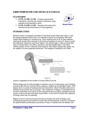 Grip Strength and Muscle Fatigue Lab Report