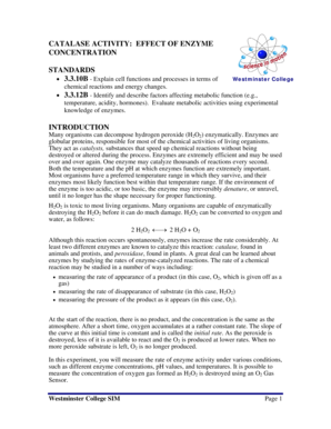 Catalase Activity Lab Report