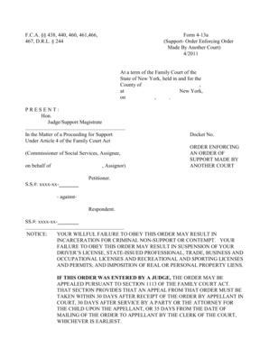 New York Support Order Enforcement Form