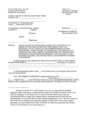 Summons Paternity Form