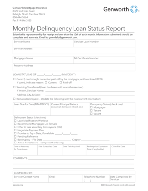 Monthly Delinquency Loan Status Report