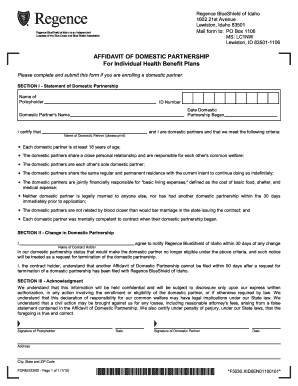 Affidavit of Domestic Partnership