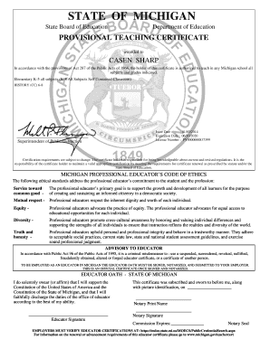 Michigan Provisional Teaching Certificate