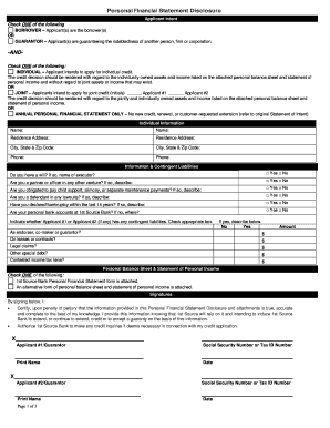 Personal Financial Statement Disclosure Form