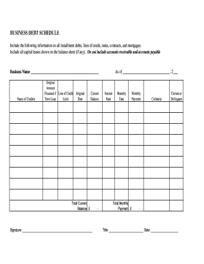 Business Debt Schedule Form