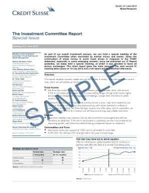 The Investment Committee Report