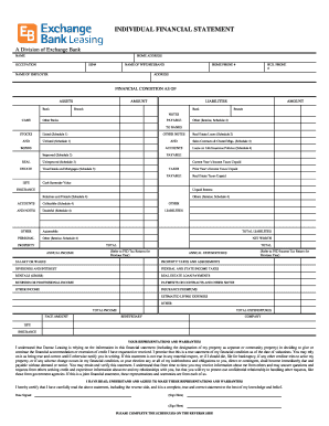 Individual Financial Statement