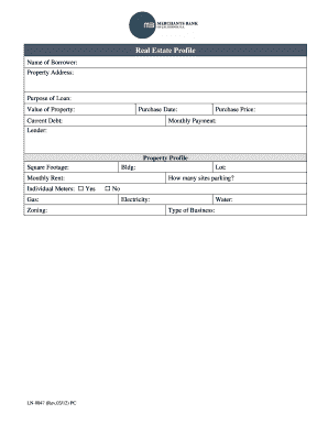 Real Estate Loan Application Form