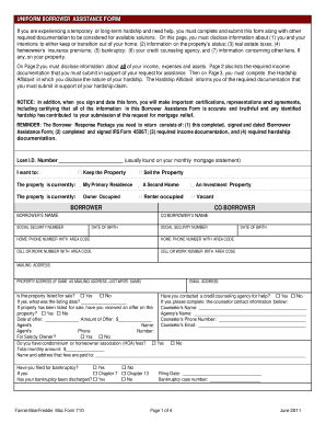 Uniform Borrower Assistance Form