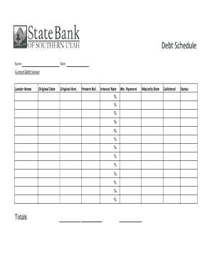 Debt Schedule Template